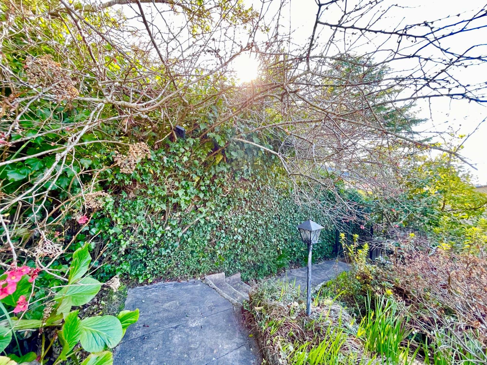 Raspberry Terrace Of Leura 빌라 외부 사진